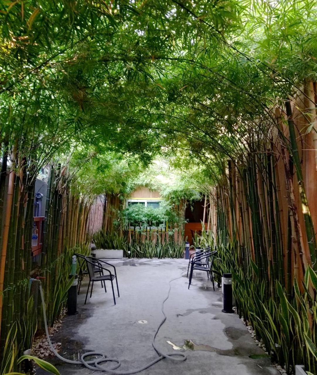 The M Pool Villas Bangkok - Bts Ekkamai Eksteriør bilde